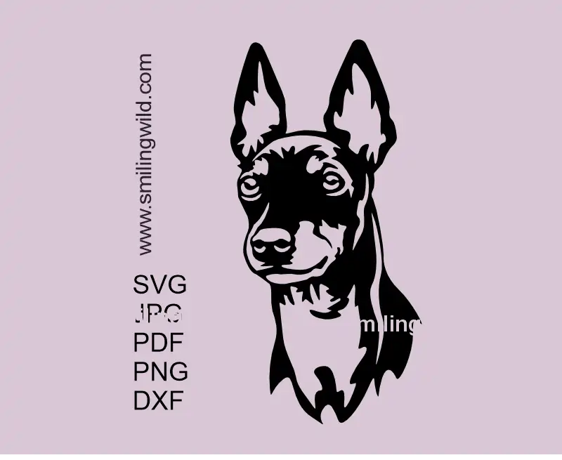 English Toy Terrier head in SVG, png, dxf, pdf and jpg Vector Clipart Cutting File. Dog graphic optimized for Cricut , laser, engraving