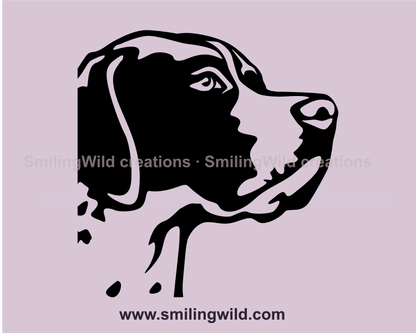 english pointer vector illustration close up frame