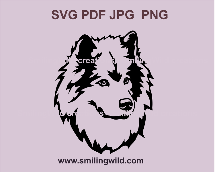 eurasier svg graphic portrait in black color with transparent backgound