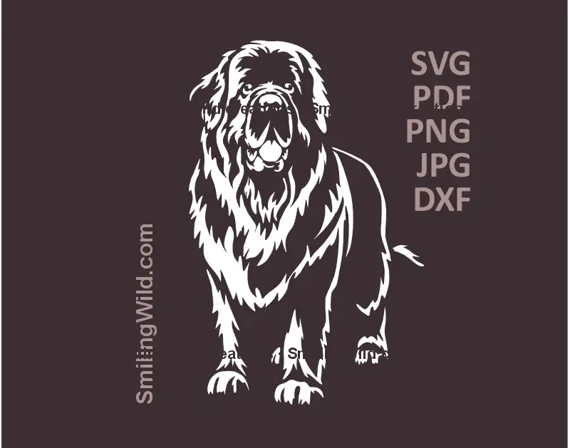 ewfoundland Dog SVG, DXF, PNG white clipart, standing full body realistic vector for Cricut, laser cutting, crafts