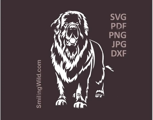 ewfoundland Dog SVG, DXF, PNG white clipart, standing full body realistic vector for Cricut, laser cutting, crafts