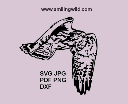 Falcon in flight SVG design featuring wings – ideal for Cricut and laser cutting wildlife projects