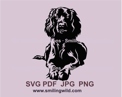 Lying field spaniel clip art illustration