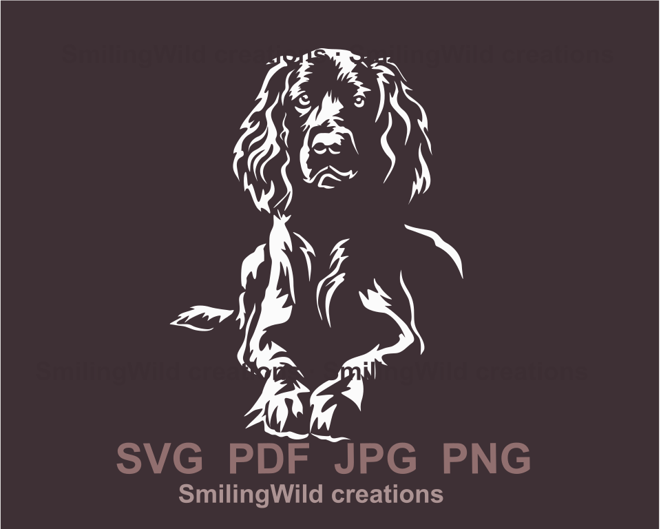 lying field spaniel made in white cuttable image for crafting