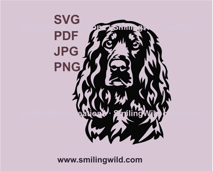 Field spaniel graphic portrait