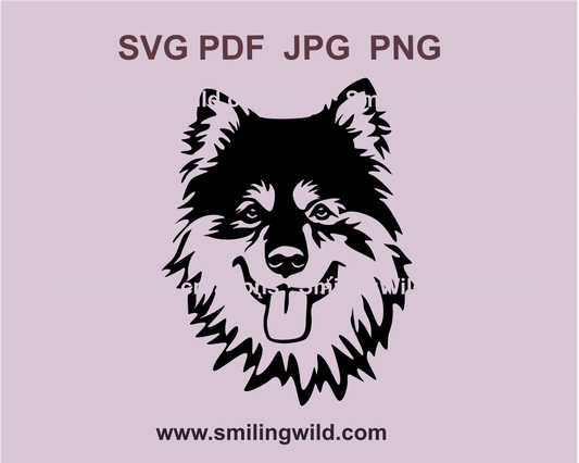 A head of a smiling finnish lapphund drawn in a svg clip art style