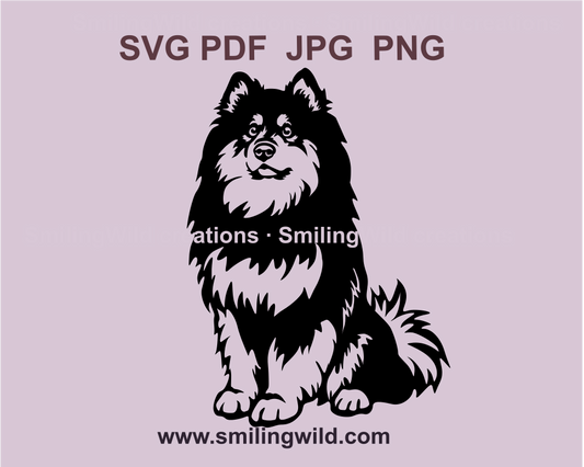 a vector graphic drawing of a full body sitting finnish lapphund or lapinkoira