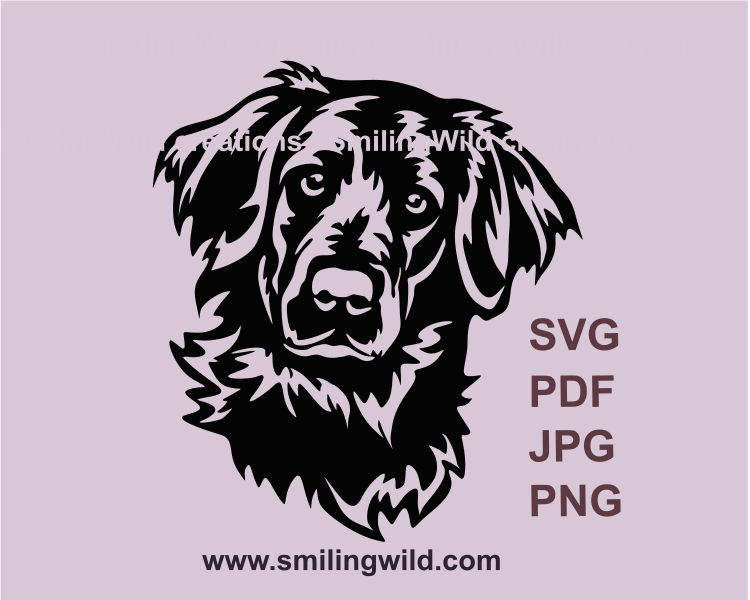 a peeking flat coated retriever face in a svg type graphic drawing