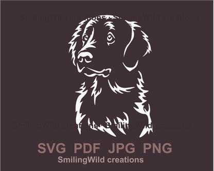 flat coated retriever white svg design application