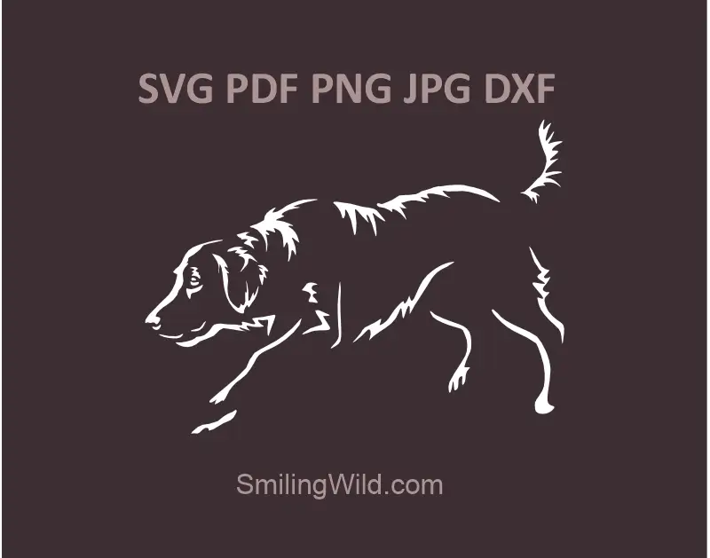 Flat Coated Retriever SVG, PNG, DXF vector file, hunting dog clipart drawing for Cricut, Silhouette, and laser cutting projects in white color