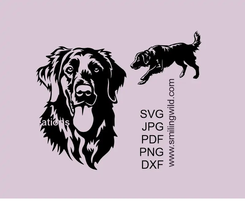 Flat-Coated Retriever SVG PNG DXF dog clipart for Cricut, Silhouette, and laser cutting, digital vector design - a hunting full body desing and a smiling face image