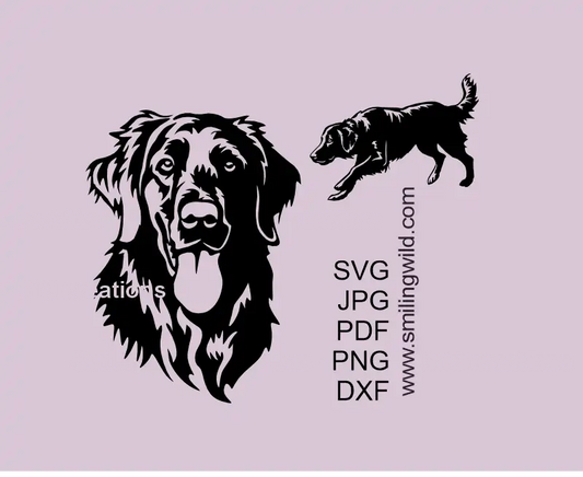Flat-Coated Retriever SVG PNG DXF dog clipart for Cricut, Silhouette, and laser cutting, digital vector design - a hunting full body desing and a smiling face image