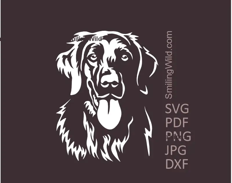 Flat Coated Retriever in white SVG PNG DXF file -  smiling hunting dog head vector file for Cricut, Silhouette, and laser cutting projects