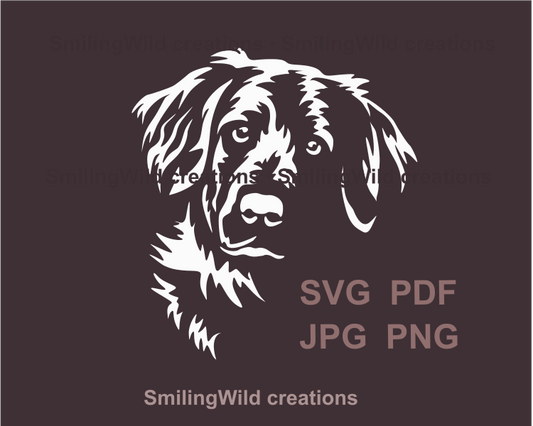 flat coated retriever face in awhite digital graphic drawing