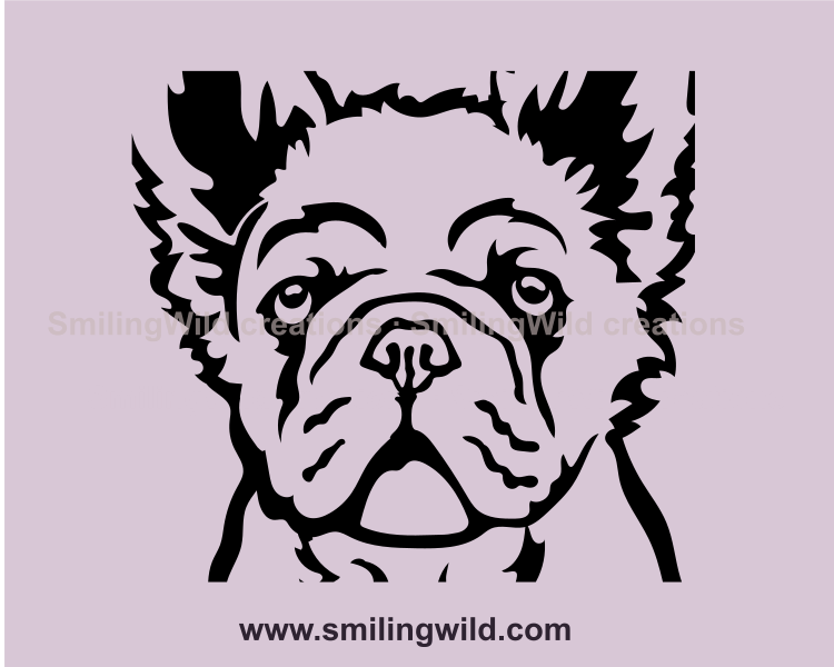 fluffy french bulldog clip art portrait zoomed close up in this image