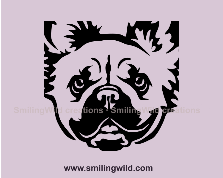 fluffy  french bulldog fae in close up frame made in black graphic design