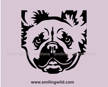 fluffy  french bulldog fae in close up frame made in black graphic design