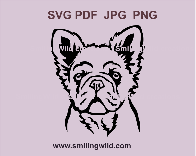 a face of a fluffy french bulldog cuttable svvg image in black color and transparent background