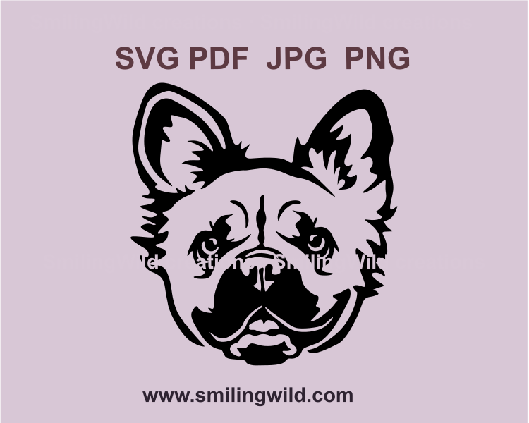 a svg graphic drawing of a fluffy french bulldog face