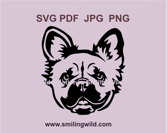 a svg graphic drawing of a fluffy french bulldog face