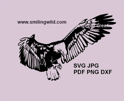 Flying Bald Eagle SVG vector clipart design for Cricut and laser projects