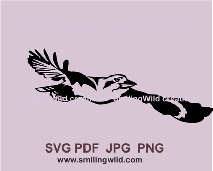 flying kookaburra svg graphic drawing image