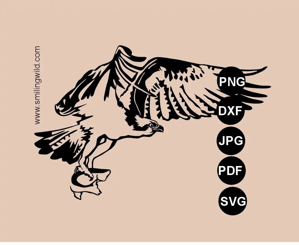 Flying Osprey svg vector graphic cut file presenting a hunting sea hawk laser design.