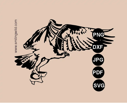 Flying Osprey svg vector graphic cut file presenting a hunting sea hawk laser design.