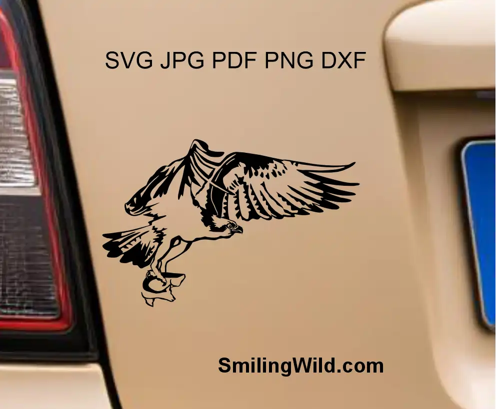 Detailed sea hawk avian wildlife illustration paths in png and DXF format optimized for precise CNC plasma and vinyl cutting
