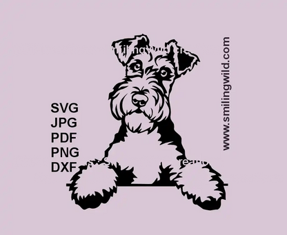 Fox Terrier Dog SVG, PNG, DXF black clipart, peeking curious pose preview with paws on surface for Cricut, laser cutting, pastoral canine crafts