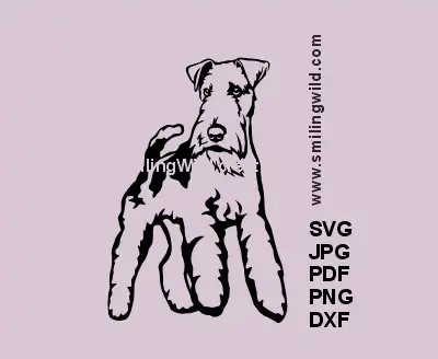  wirehaired Fox Terrier SVG, PNG, DXF black clipart, hunting dog head portrait vector preview for Cricut, laser cutting, dog graphic crafts