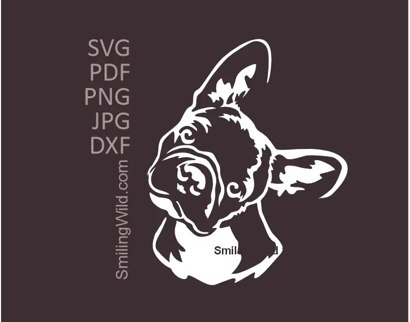 French Bulldog Vector Art SVG, png and dxf showcasing a white Head  Clipart Design. Head tilting Frenchie graphic optimized for Cricut and laser cutting