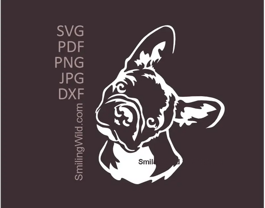 French Bulldog Vector Art SVG, png and dxf showcasing a white Head  Clipart Design. Head tilting Frenchie graphic optimized for Cricut and laser cutting