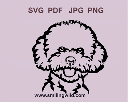 frise bichon face svg clip art design in style of digital graphic art