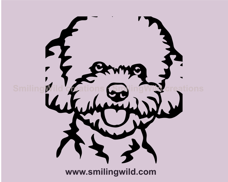 frise bichon vector graphic face in close up zoom