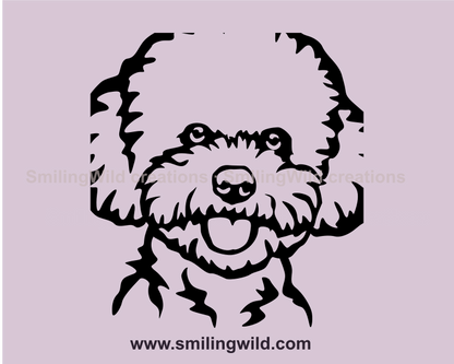 frise bichon vector graphic face in close up zoom