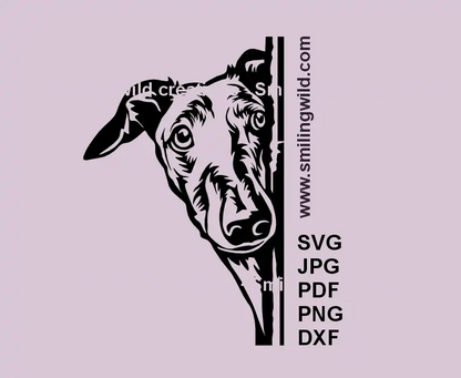 Border Collie SVG, PNG &amp; DXF – Hund späht um die Ecke Clipart – Schwarz-Weiß-Vektor-Design