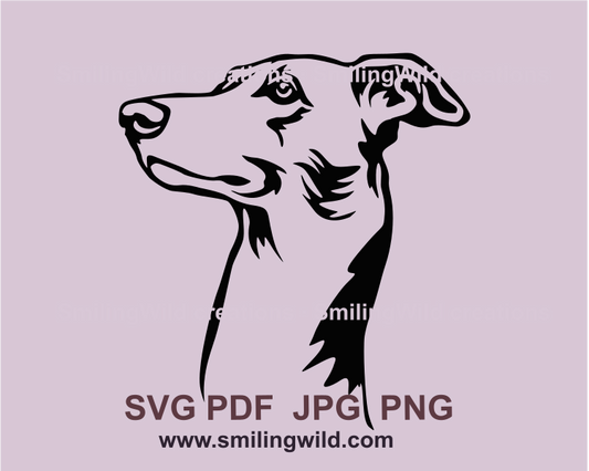 galgo dog face in graphic cli art drawing