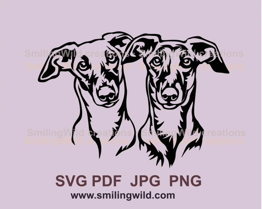 Two galgo dogs graphic drawing, dogs are looking strigt forvard