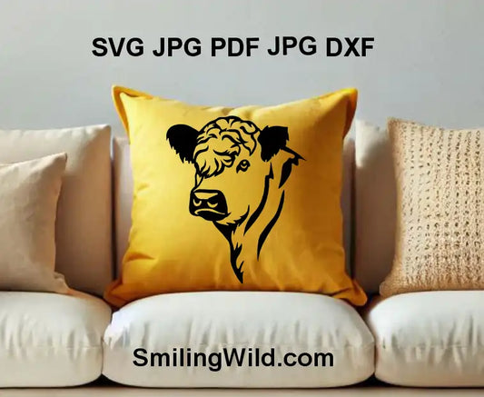 Galloway cattle head PNG – realistic farm cow black vector for Cricut crafts and farmhouse décor