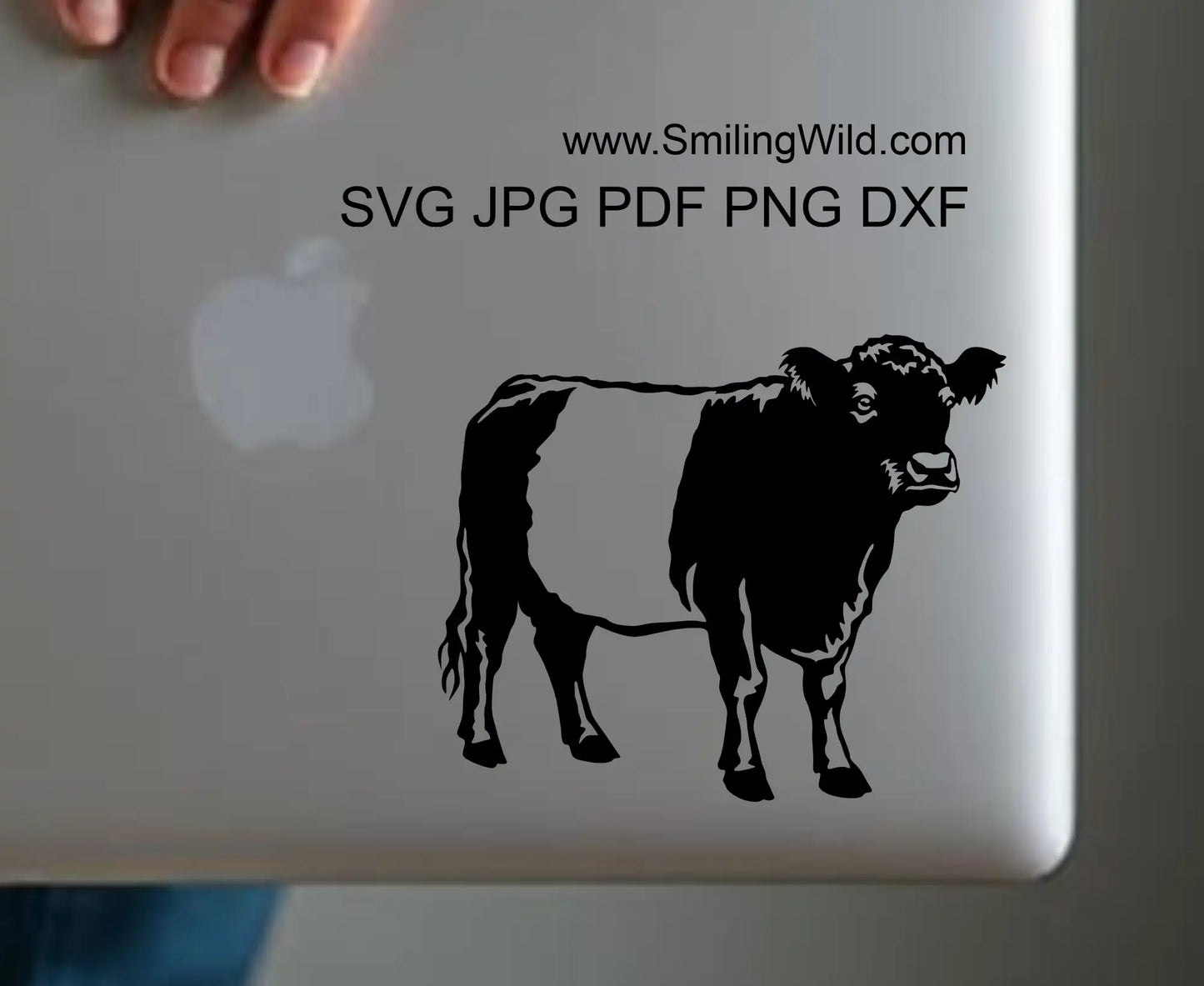 Preview image of belted galloway cow svg and png cutting files for Crict and laser