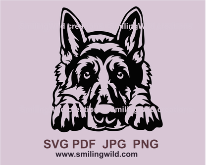 German shepherd with cute eyes lying. Image in graphic style