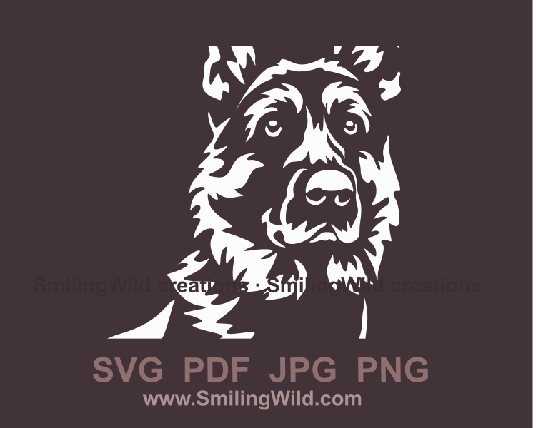 German shepherd white graphic image close up