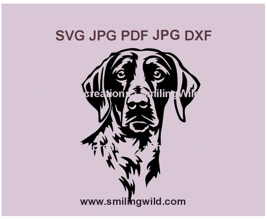 German Shorthaired Pointer SVG, png and dxf clipart – Realistic black hunting dog vector for Cricut and engraving