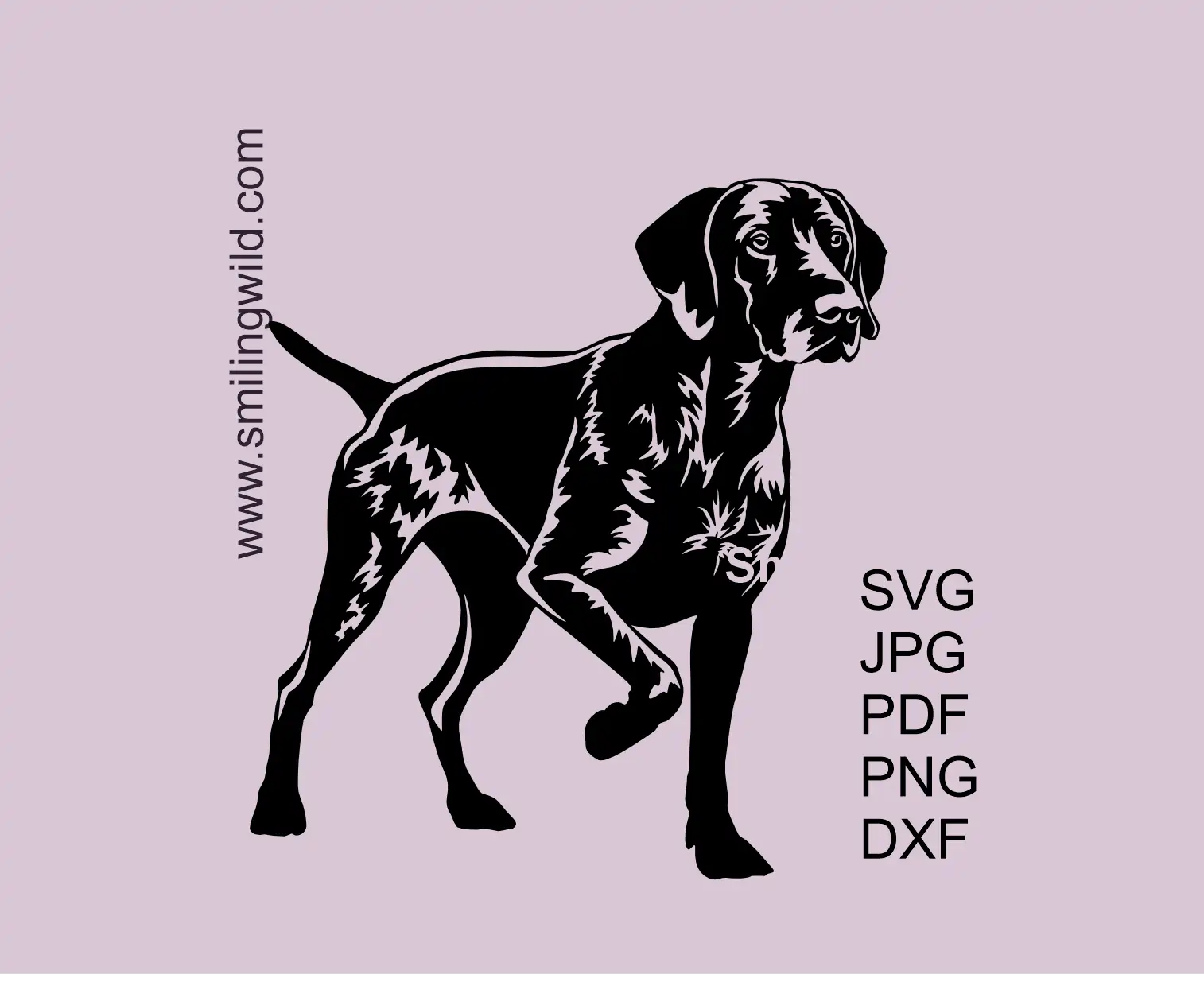 German Shorthaired Pointer SVG hunting dog in classic pointing stance full-body clipart cutting design preview