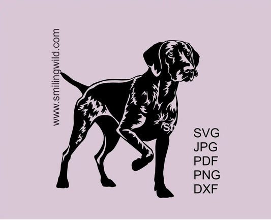 German Shorthaired Pointer SVG hunting dog in classic pointing stance full-body clipart cutting design preview