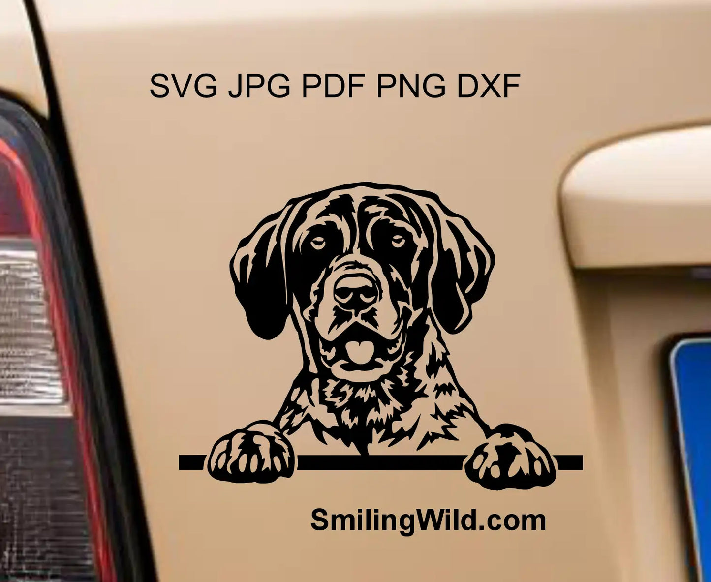 Peeking German shorthaired pointer dog decal-style clipart preview  in SVG PNG DXF files