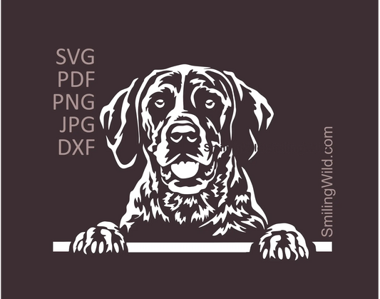 Peking German Shorthaired Pointer White SVG vector graphic design preview of a hunting dog for dark backgrounds