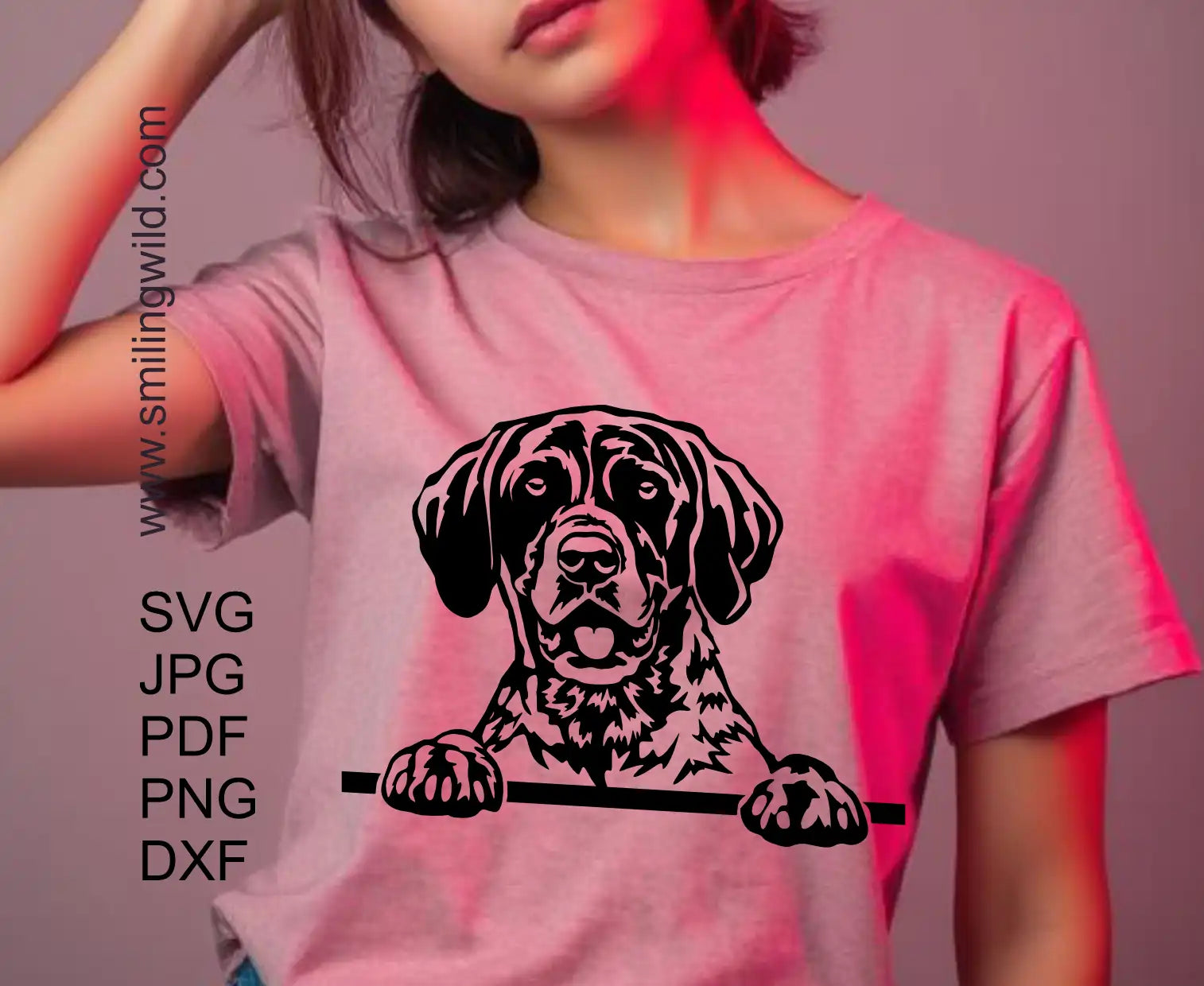 Realistic German Shorthaired Pointer DXF cut file presenting a peeking hunting dog