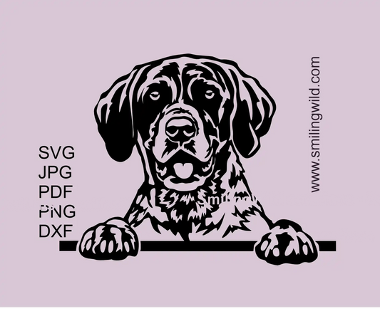 German Shorthaired Pointer preview image presents a peeking dog SVG vector file design 